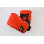 GUANTI DA PASSATA-GF-