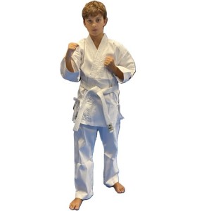 Buy KARATEGI-GLOBAL-TRAINING