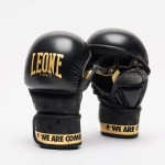 Buy GUANTI-LEONE-MMA BLITZ