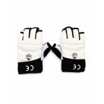 Buy GUANTINI-GLOBAL TAEKWONDO MODELLO WT