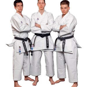 Buy KARATEGI-ARASHI BEST SPORT KATA